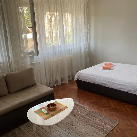 Dada Center Of Belgrad